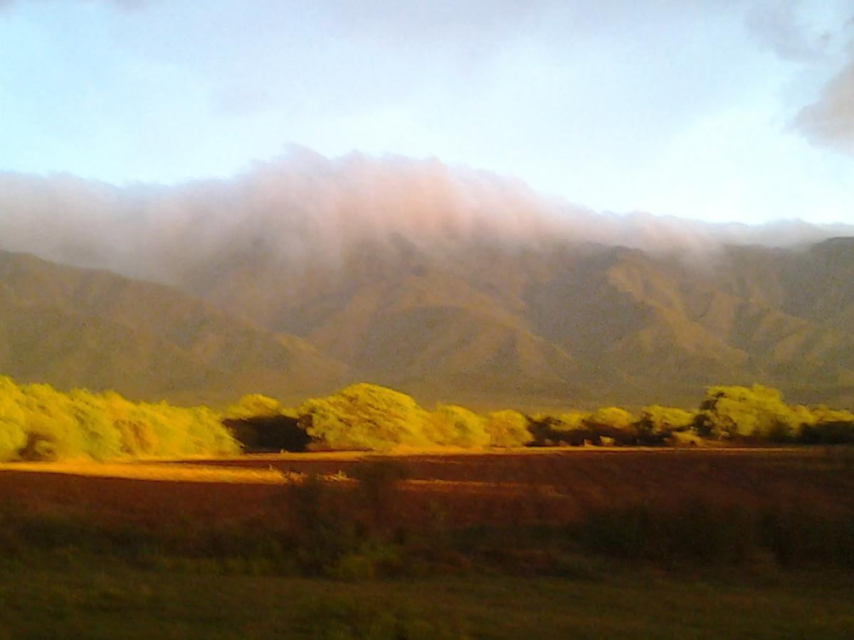 Complejo Valle De Las Rosas Villa Villa Las Rosas Eksteriør bilde